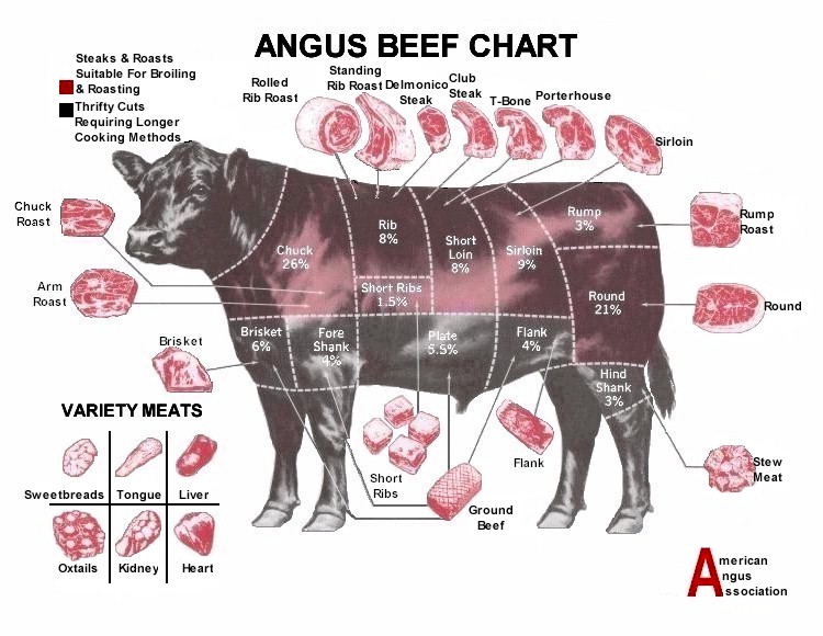 ogeechee meat market cow butcher chart